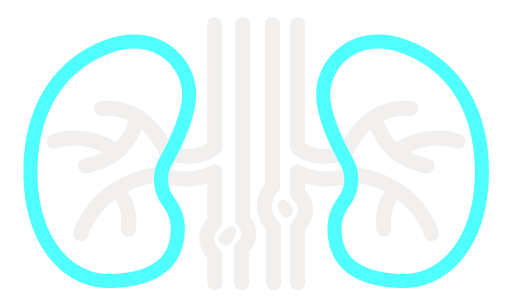 Calculi and Urinary Tract Infections